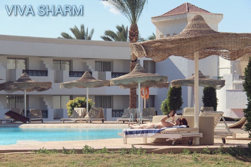 Viva sharm hotel 3. Dolce Vita Шарм Эль Шейх. Verginia Sharm Resort & Aqua Park 4*. Viva Sharm (ex. Top choice Viva Sharm) 3*. Фаер Роуз отель Шарм.